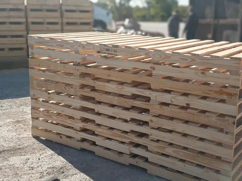 elvas-pallets-gallery